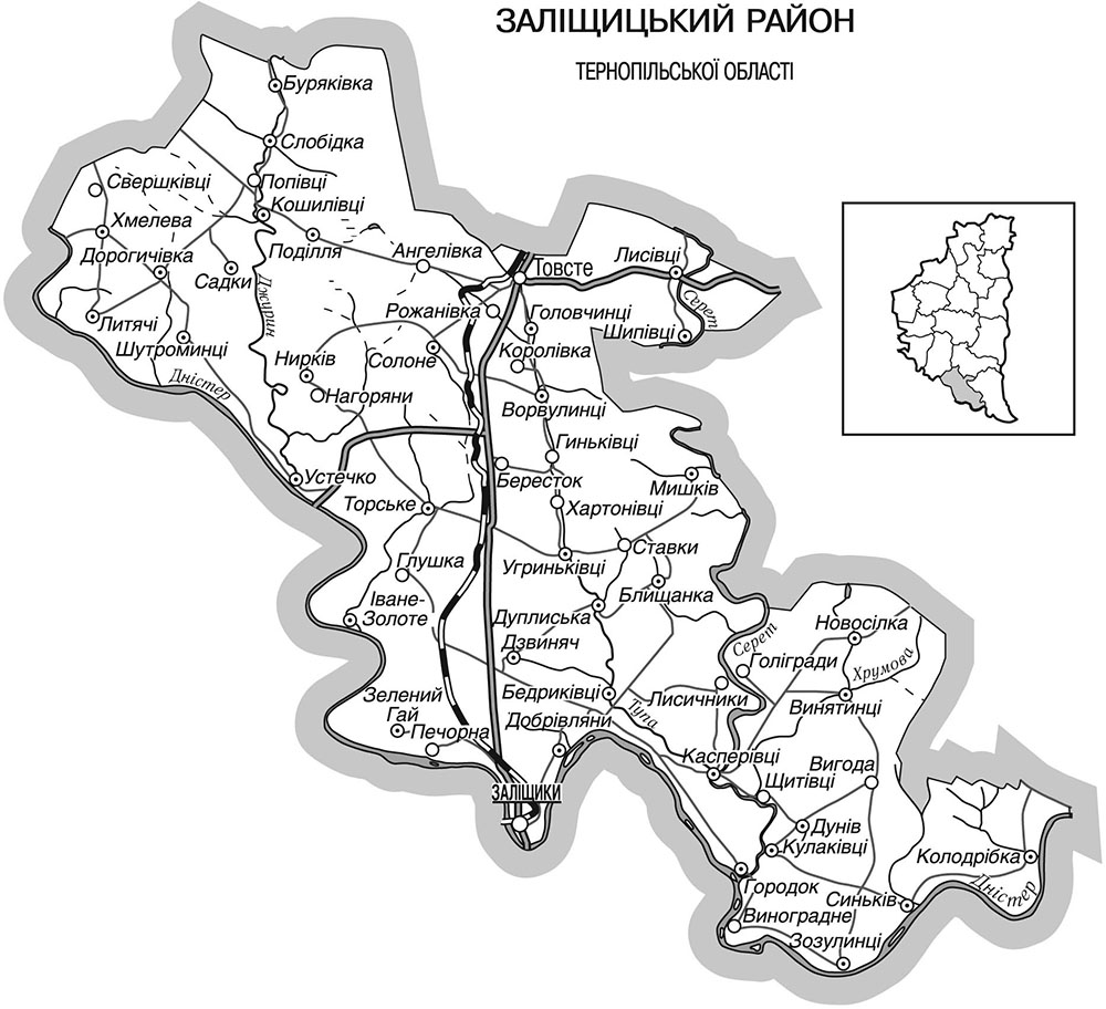 Заліщицький район